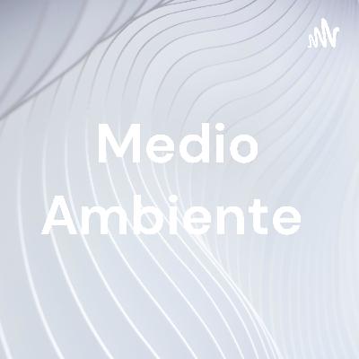 Medio ambiente