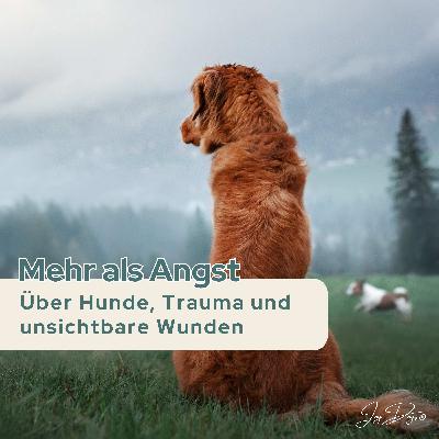 Mehr als Angst: Über Hunde, Trauma und unsichtbare Wunden