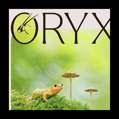 26 - El del viatge a Svalbard, la revista Oryx i el Guardabosques Wild Podcast