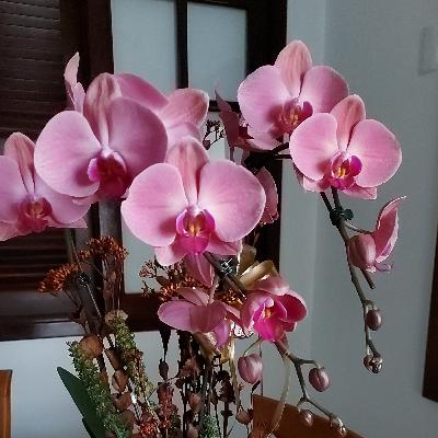 Meu rochedo...
