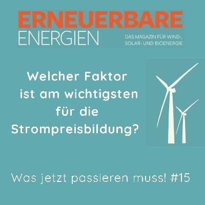 Welcher Faktor ist am wichtigsten für die Strompreisbildung? Welcher Faktor ist am wichtigsten für die Strompreisbildung?