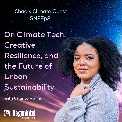 On Climate Tech, Creative Resilience, and the Future of Urban Sustainability