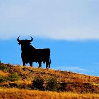 #188b The Sin-Offering of the Kohen Gadol - Parashas Vayikra