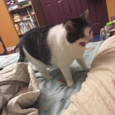 The Unexpected Journey with Akhmal & Muhammad The Unexpected Journey with Akhmal & Muhammad