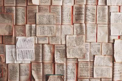 Learning in the Deep