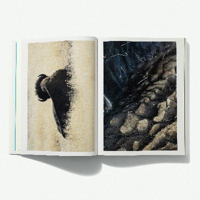 The Heart of Requiem — A Conversation with Susan Murphy Roshi, Terry Tempest Williams, and Emmanuel Vaughan-Lee