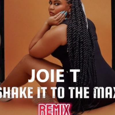 SHAKE IT TO THE MAX RIDDIM - JOIE T CLEAN REMIXES.