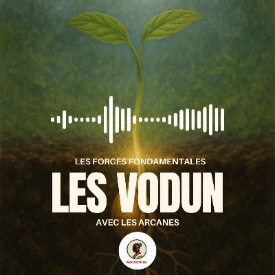 Comprendre les forces primordiales dans les vodùn Comprendre les forces primordiales dans les vodùn