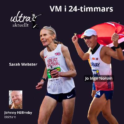 VM i 24-timmars 2025