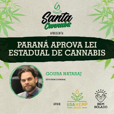 Paraná aprova lei estadual de cannabis