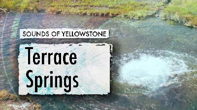 Terrace Springs — Sounds of Yellowstone (ASMR, Sleep, Concentration)