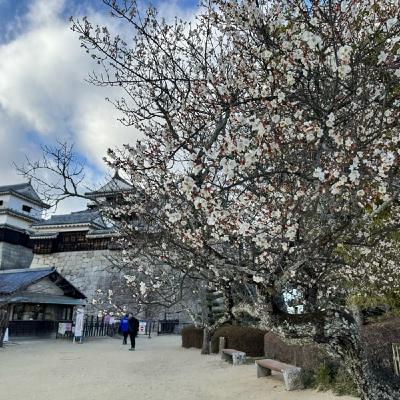 小さな変化を見逃さない 小さな変化を見逃さない