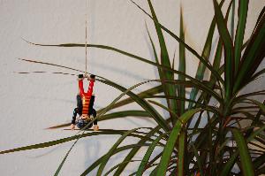 Bungee-Jumping