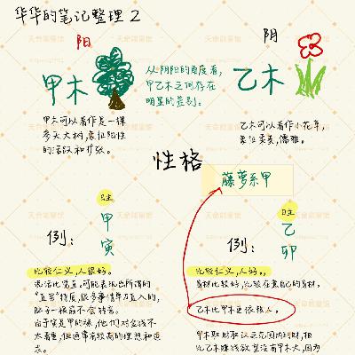 木运当头，如何借木旺运 | EP.44