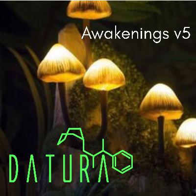 Awakenings V5 - pSyDub Radio Show