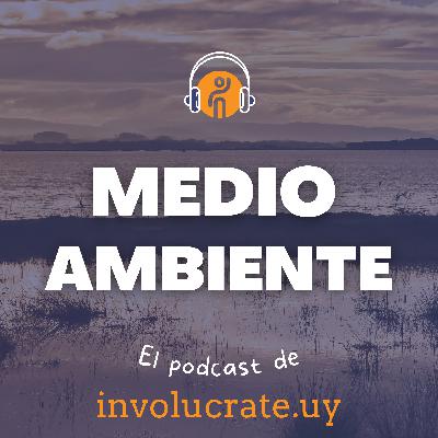 Lagunas Costeras en Uruguay