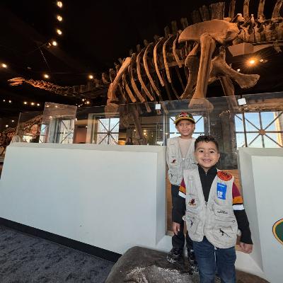 El Viaje al Museo Field de Historia Natural