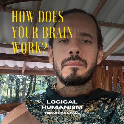 Why Do You Remember Your Past? How Does Your Brain Work?