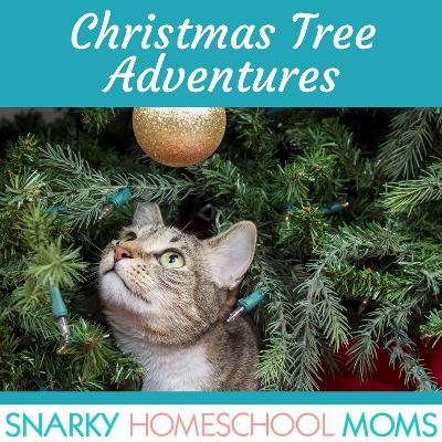 Episode 13 - Christmas Tree Adventures