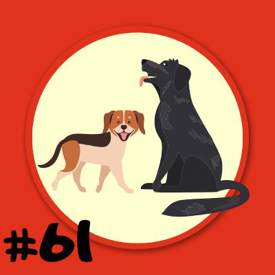 Folge 61 - Bernd Schäferhund und Trixie Dackel - Davon muss ich mich selbst überzeugen