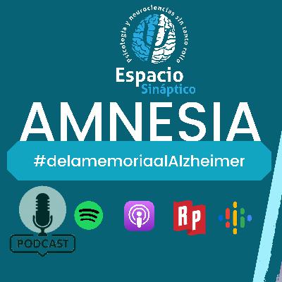 Amnesia Amnesia
