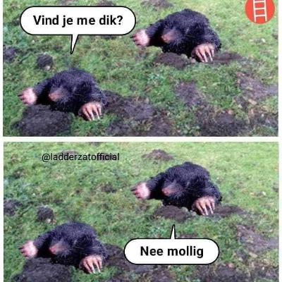 Miles Maverick - Oktober 2021 01