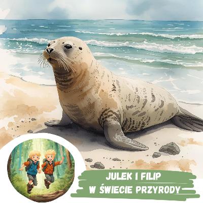 #56 Kto wyleguje się na plaży?