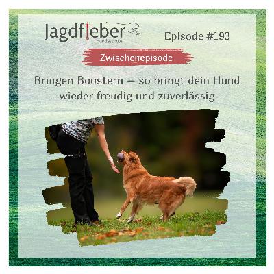 P193: Bringen Boostern – so bringt dein Hund wieder freudig und zuverlässig