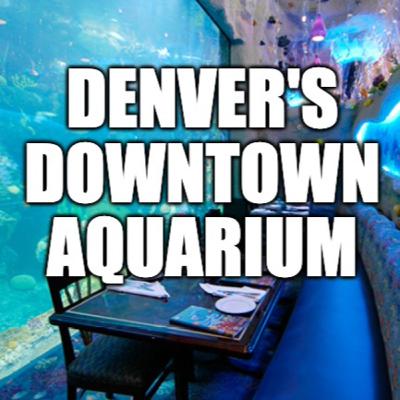 Downtown Aquarium (w/Dan Lipcan)