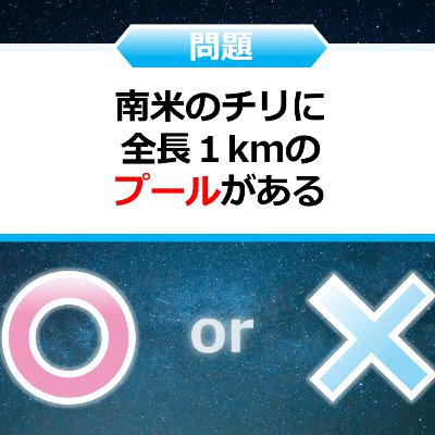 クイズ２択王｜世界の雑学｜プール