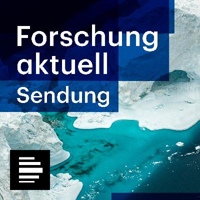 Erdbeben in Afghanistan / Alzheimer-Medikament Leqembi / Vertrauen in Wahlen - Forschung aktuell