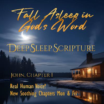 John, Chapter 1 – 30 min. Deep Sleep Scripture Sleep Bible Chapters John, Chapter 1 – 30 min. Deep Sleep Scripture Sleep Bible Chapters