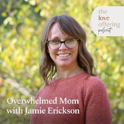 Relief for Your Overwhelm: A Conversation with Jamie Erickson