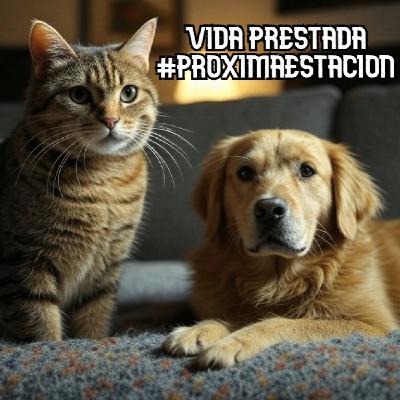 T4. E2. Vida prestada