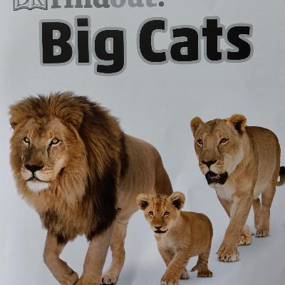 Fun Facts - Big Cats