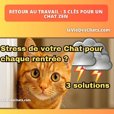 3 SIGNES QUE VOTRE CHAT FAIT UNE DÉPRESSION - ET VOUS NE LE VOYEZ PAS