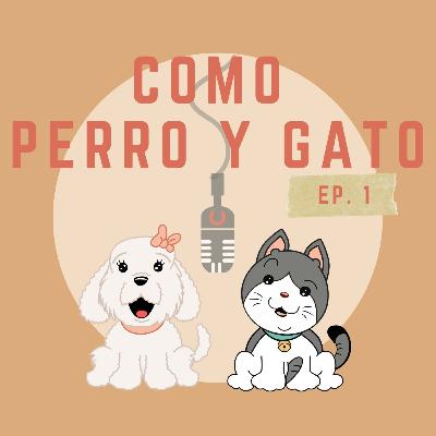 EP.1: Tips para evitar el estrés en perros