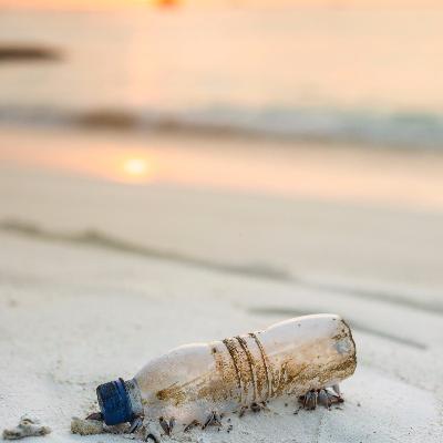 2. Recycle Bins - Full of False Promises