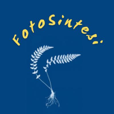 FotoSintesi - Trailer FotoSintesi - Trailer