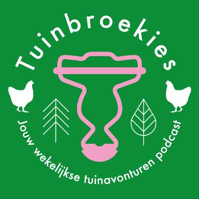 #46 Bloed van de goden!