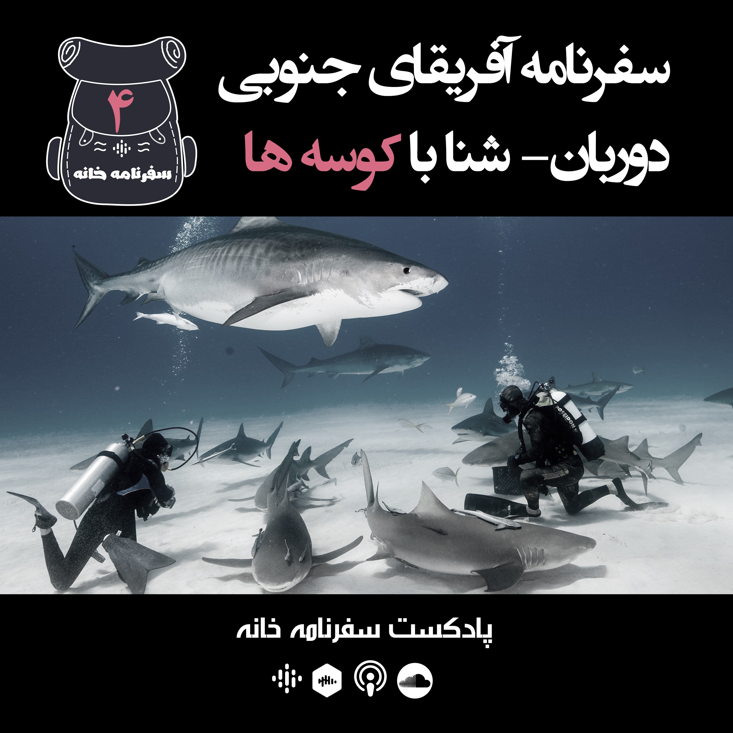 دوربان - شنا با کوسه ها