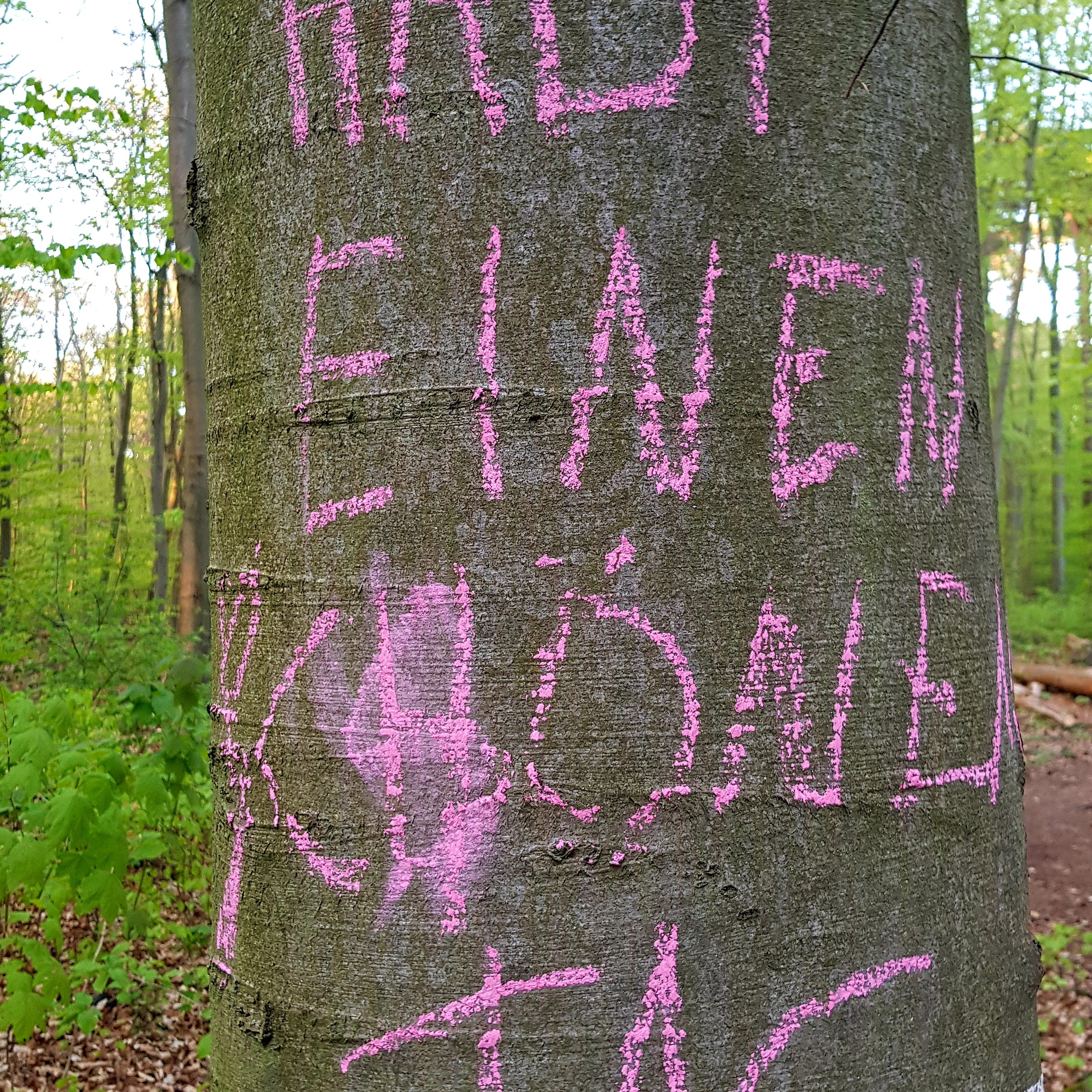 Akustische Spaziergänge