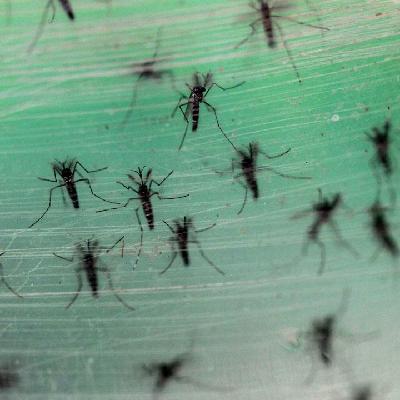 I Went to Deep Space and Found Only Death I Went to Deep Space and Found Only Death