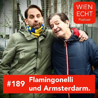 #189 - Flamingonelli und Armsterdarm.