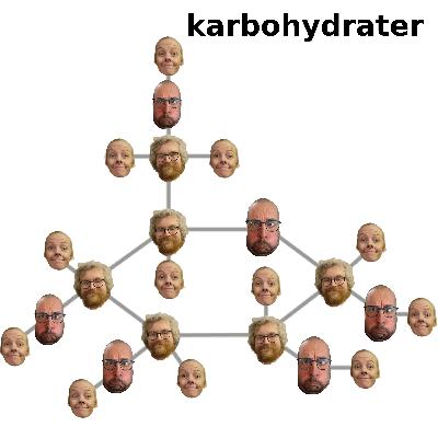 Karbohydrater