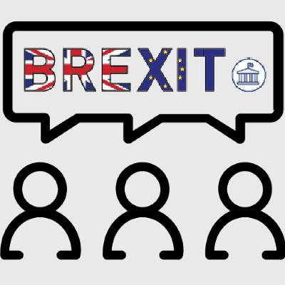 BIA Brexit Briefing Webinar | May 2019