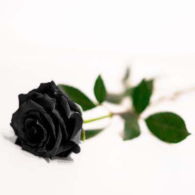 Massive Attack - Teardrop