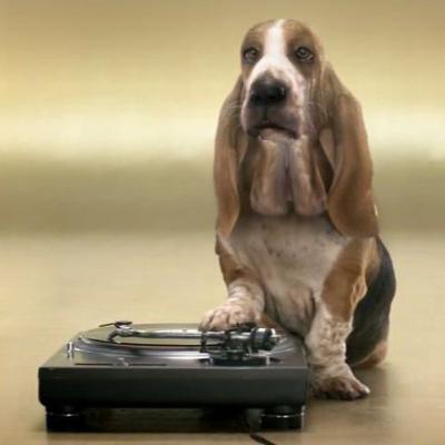 Winston DJ