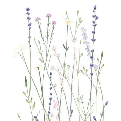 Discovering Wes Moore Analysis