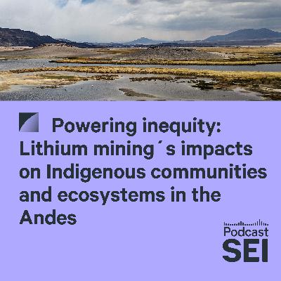 Powering inequity: Lithium mining’s impacts on Indigenous communities and ecosystems in the Andes